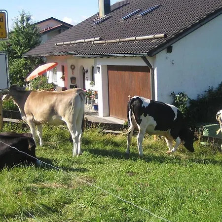 Dreilaenderblick Ferienwohnungen Apartment *