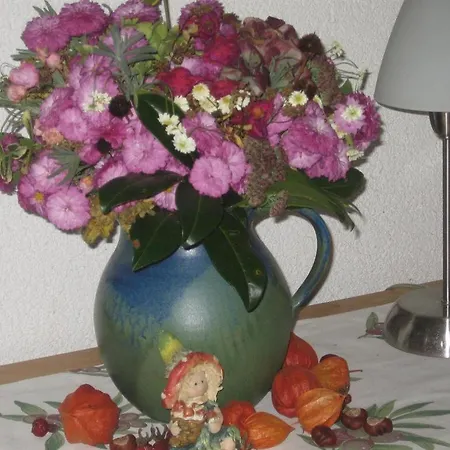 Dreilaenderblick Ferienwohnungen